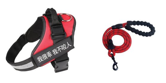 Fashion Simple Pet Leash Chest Strap Set (Option: Red-S)